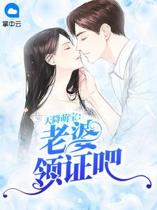 天降萌宝:老婆领证吧