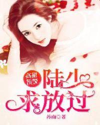 高甜预警:陆少,求放过!