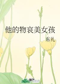 他的物哀美女孩