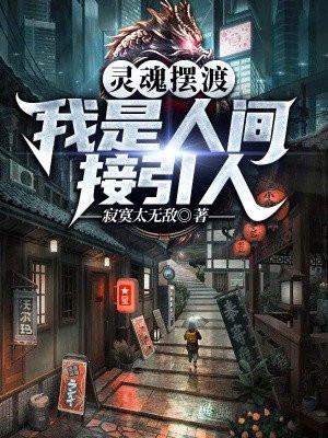 灵魂摆渡，我是人间接引人