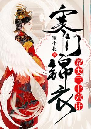 寒门锦衣之宠夫三十六计