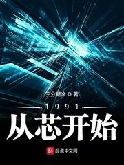 1991从芯开始