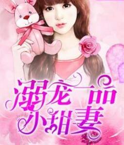 溺宠一品小甜妻