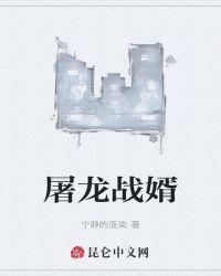 屠龙战婿
