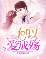 何以爱成殇奚盼