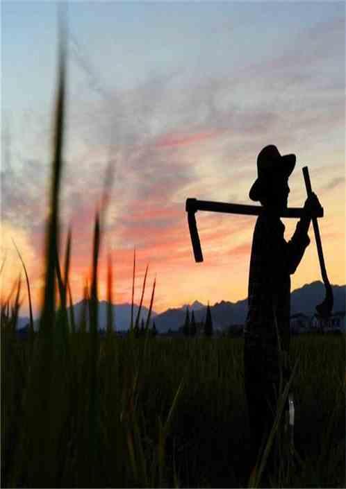 乡村爱情有神农