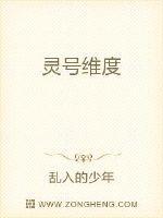 灵号维度
