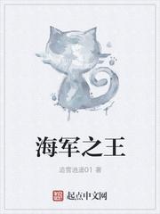 海军之王